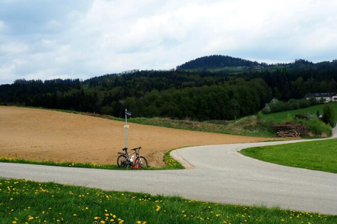 Senke 300m nach der Weggabelung mit Hamberg