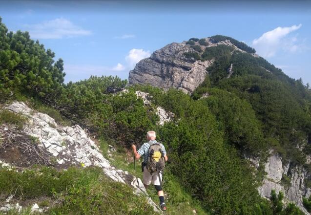 Auf dem &quot;Weg&quot; zum Seichenkopf