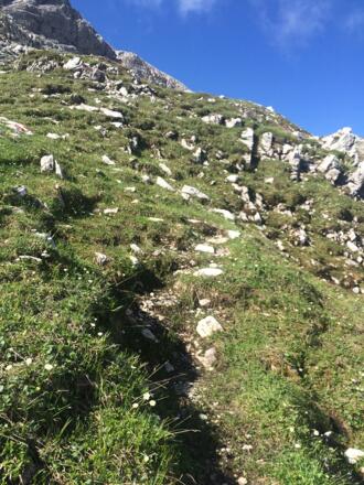 Am Weg zum Großen Pleißlingkeil