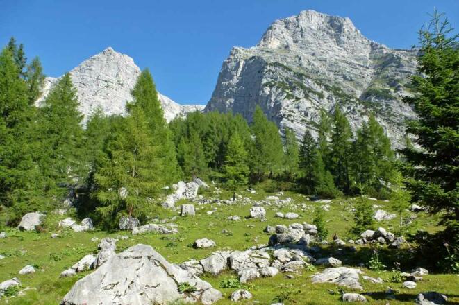 Die Reste der ehemaligen Nickeralm