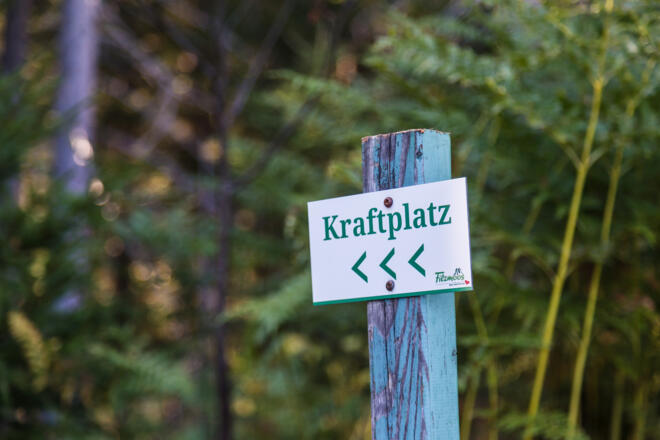 Reinigungsplatz im Hachauer Wald (Kraftplatz 16)