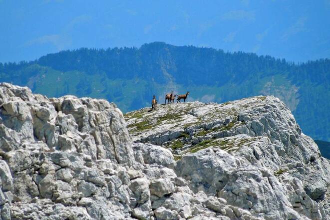 Unter dem Kleinen Kraxenberg
