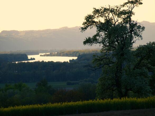 Donaublick von Reith 340m