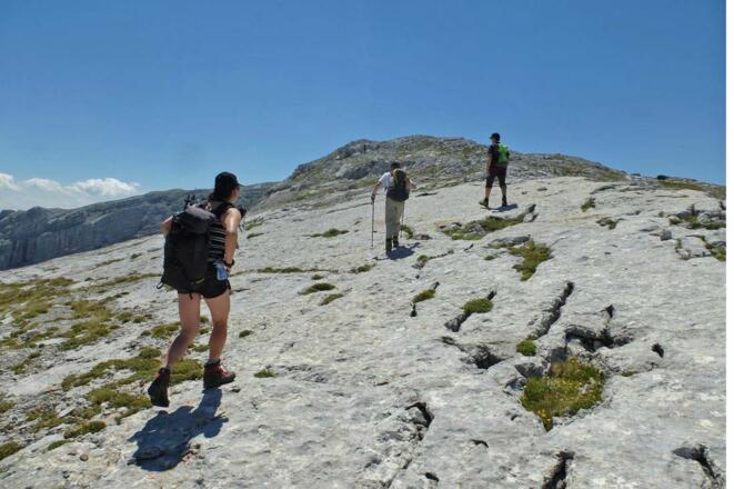 Am Weg vom Mitterberg zum Kraxenberg 