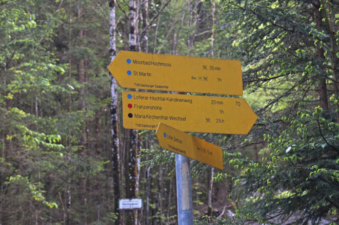 Hier wird der Forstweg nach rechts verlassen.