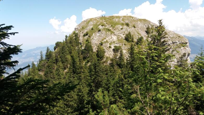 Gipfelkreuz und Metallständer auf der Gurtisspitze, 1778 m.