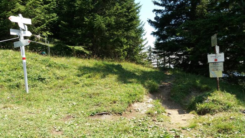 Wegweiser und Steig auf dem Spitzwiesle, 1700 m.