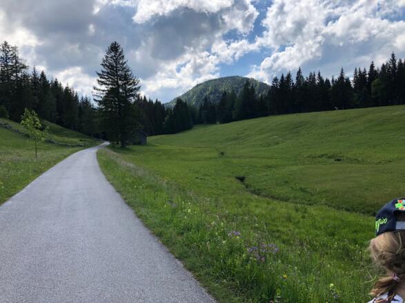 Weg vom Parkplatz Richtung Seewaldsee 