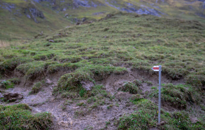 Abzweig ins Grüne: leicht zu übersehen (4) 