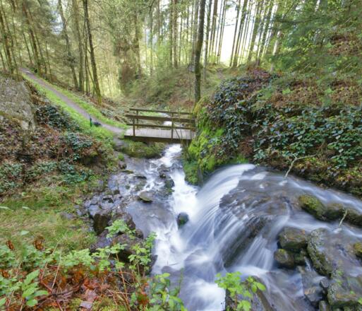 Der rauschende Talbach