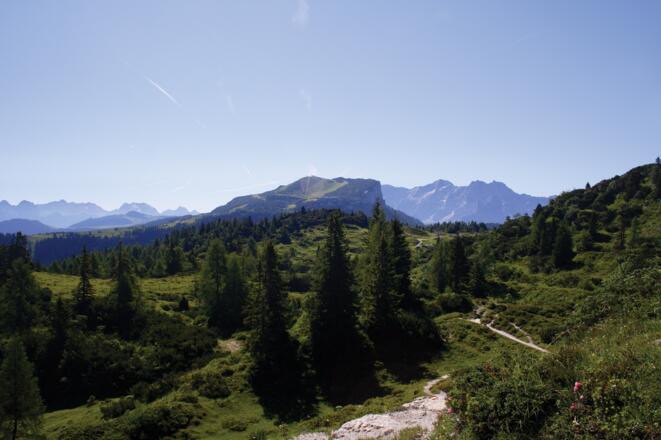 Am Weg Richtung Fellhorn Blick zur Steinplatte