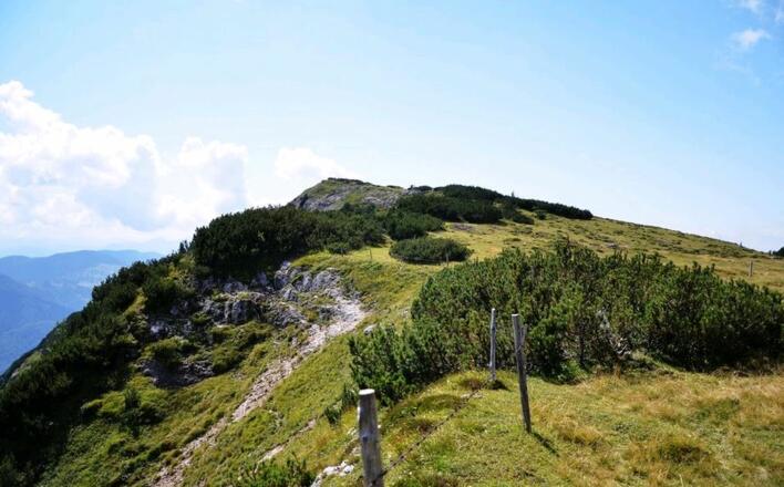 Der Fellhorngipfel in Sichtweite