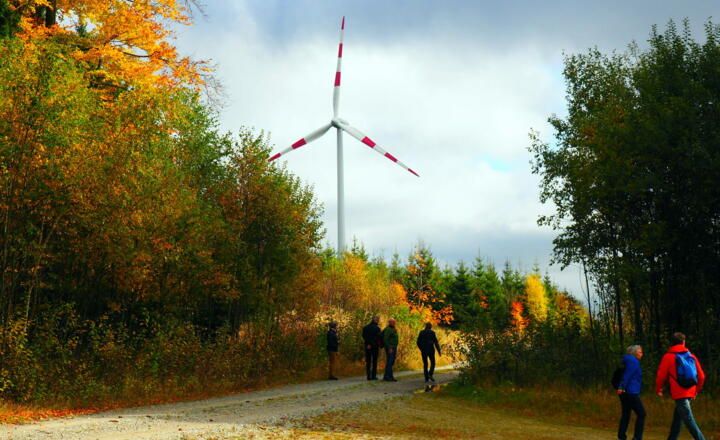 Vom Windrad (1010m) zum Hirschenstein (1026m)