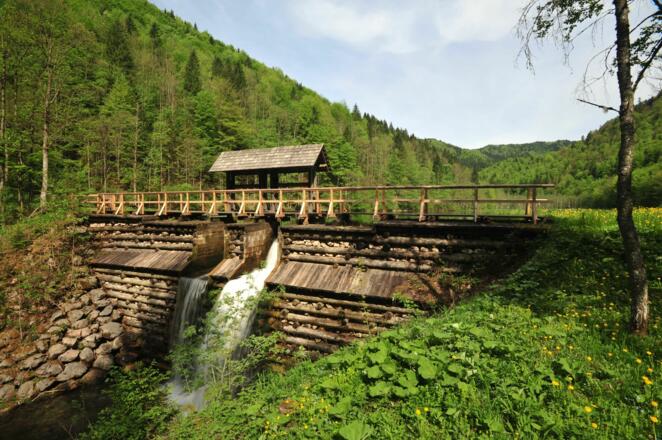 Die Schleifenbachklause wurde vom Nationalpark Kalkalpen und dem Verein Eisenstraße reaktiviert, nachdem ein Hochwasser die Klause zerstört hat und der Borsee zu verlanden drohte