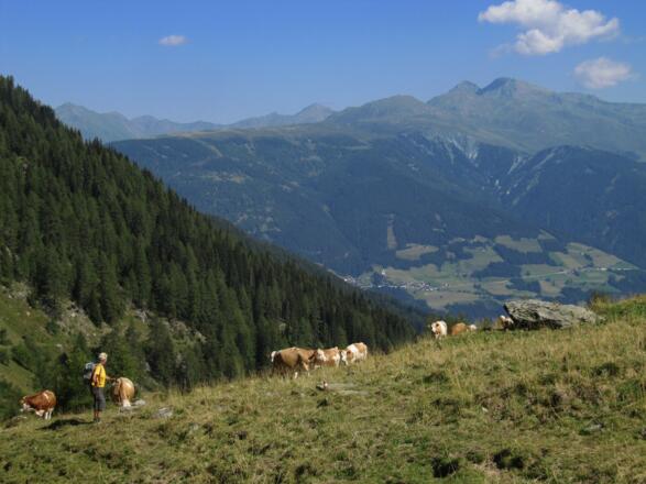 Kurz vor dem Ochsenboden