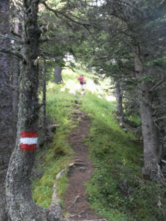 aus dem Hochwald auf den Südwestgrat