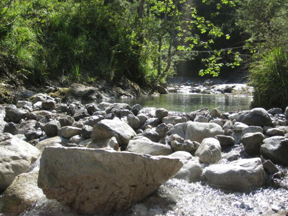 Rund um den Hausberg