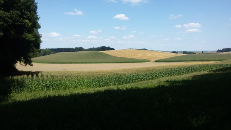 Ausserhalb von Mehrnbach