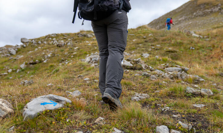 Abzweig zur Wildgrubenspitze (10)