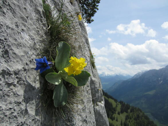 Der Name der Tour ist Programm!