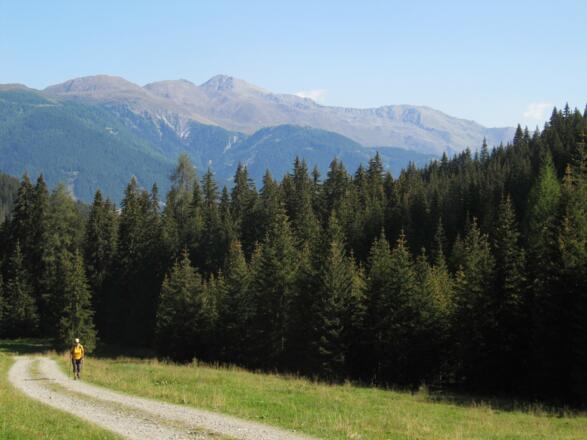 Blick zurück zu den Lienzer Dolomiten (Golzentipp)
