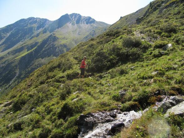 Der Karnische Hauptkamm im Hintergrund