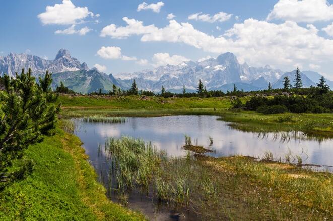 Platz 12: Der Gerzkopf