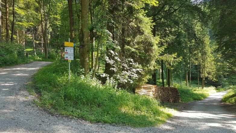 Pfenningbergkreuzung, hier ist die 2. Möglichkeit links rauf den Pfenningberg &quot;mitzunehmen&quot;, wir wandern rechts weiter