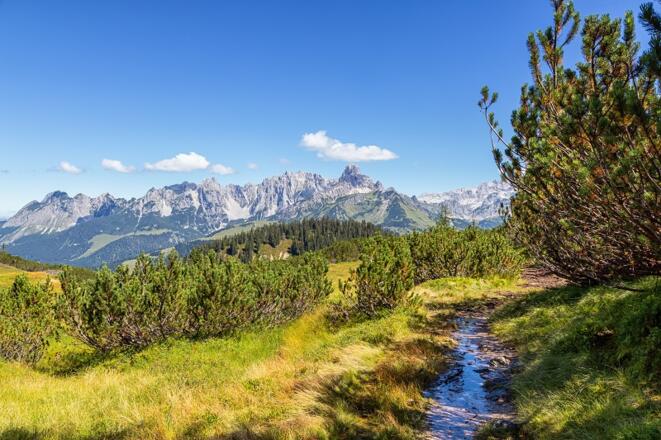 Platz 12: Der Gerzkopf