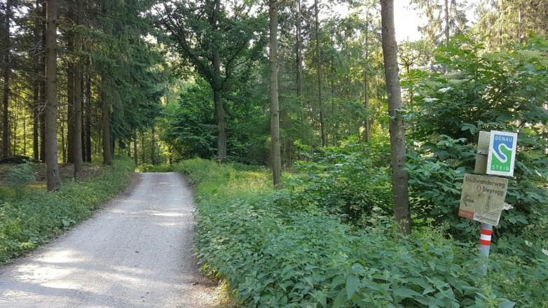 Donausteig , der Linzer Stadtwanderweg 8 und der Donausteig Wanderweg führen ebenso durch den Steyregger Wald
