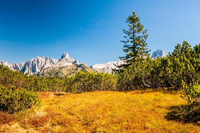 Platz 12: Der Gerzkopf