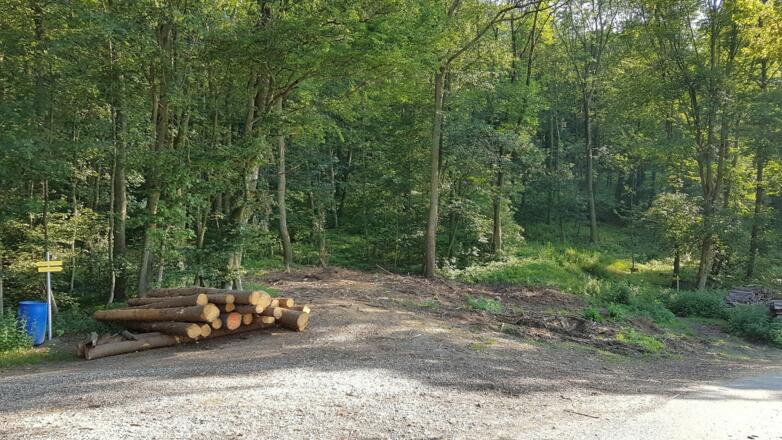 Gipfelkreuzung, hier besteht die Möglichkeit auf den neuen Steyregger Wanderwegen &quot;Pfenningberg-Gipfelwanderweg&quot; und &quot;3 Buchen Weg&quot; links rauf den Pfenningberg bzw. das &quot;3 Buchen Kreuz&quot; &quot;mitzunehmen&quot;