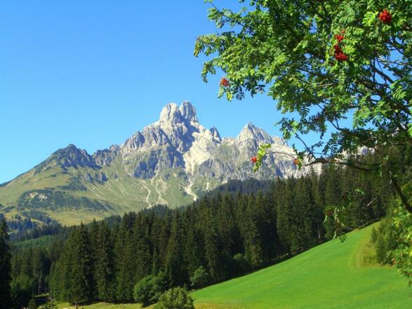 Wanderweg Richtung Hofalm in Hinterwinkl