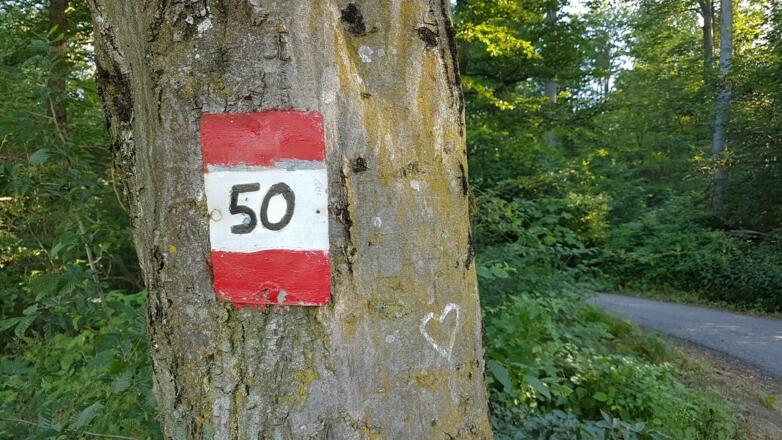 Eine kleine Liebesbekundung zum 50er?