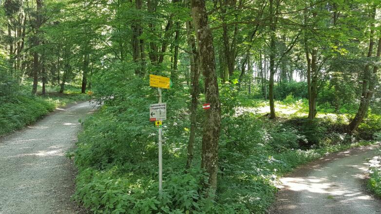 Finstergrabenkreuzung, rechts geht’s runter in den Finstergraben, wir bleiben links