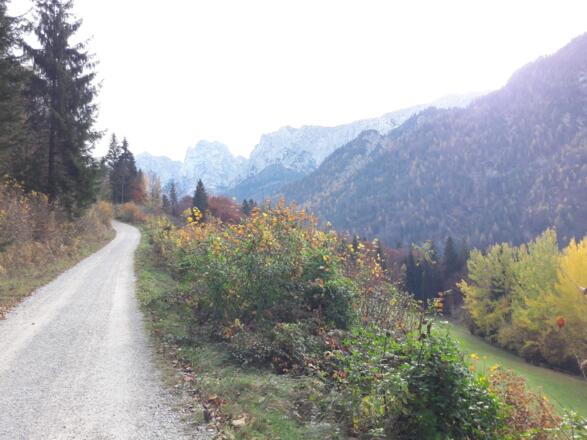 Imposante Ausblicke auf den Wilden Kaiser