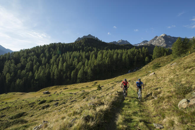 Mountainbike/E-Bike Stabele Alm