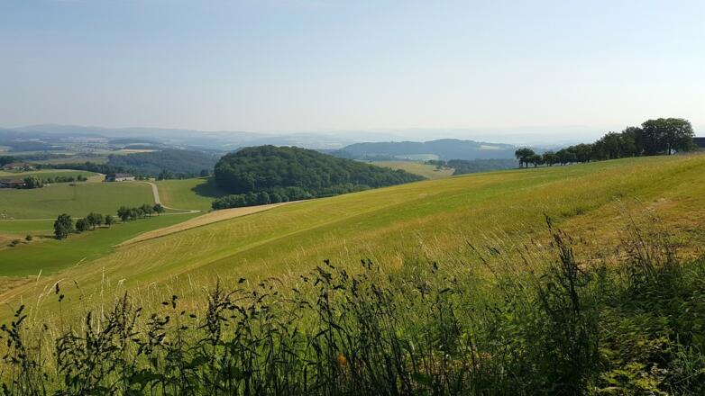 Einen weiten Blick ins Mühlviertel bietet der Aussichtsplatz &quot;Mühlviertelblick&quot;