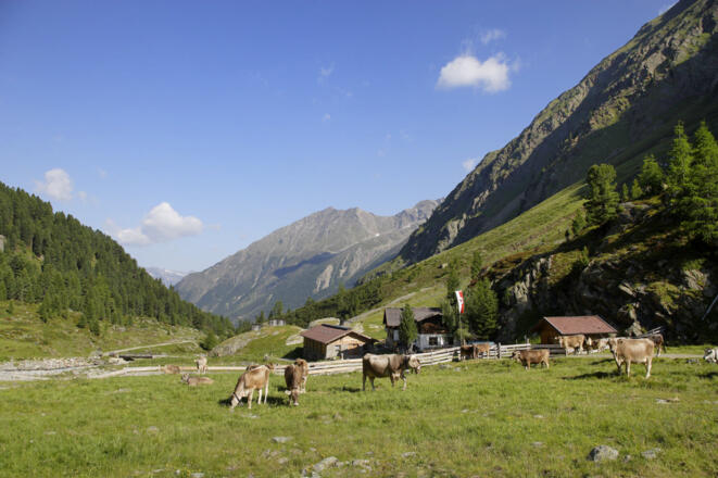 Vordere Sulztalalm