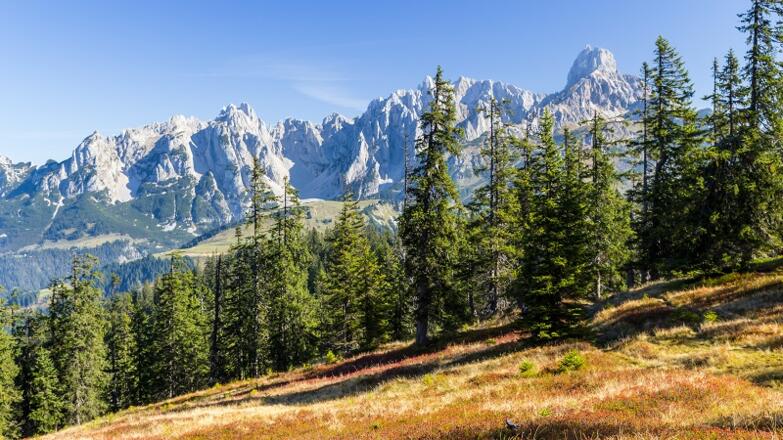 Platz 12: Der Gerzkopf