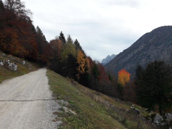 Auf dem Weg ins Kaisertal