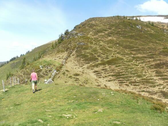 Ostrücken der Pfarrachhöhe