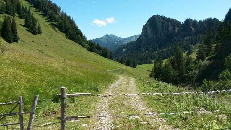 Auffahrt zum Schreibersattel