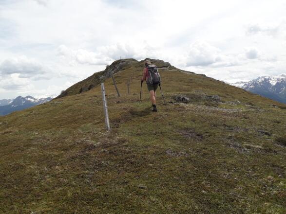 Nordrücken des Galtviehkopfs