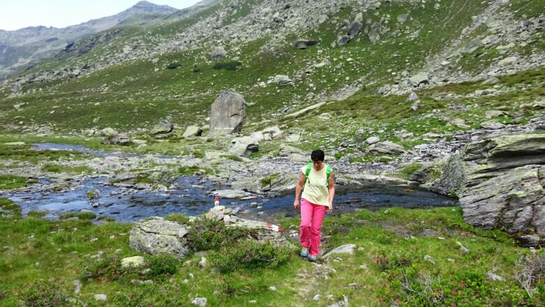 Weiter, noch eine Geländestufe höher auf ...