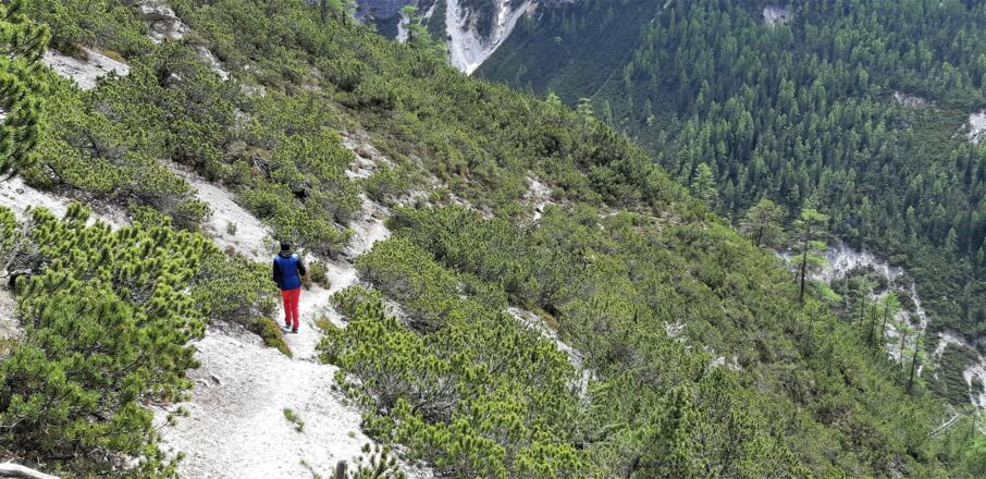 Der &quot;schwarze&quot; Bergweg ist anspruchsvoller als ...