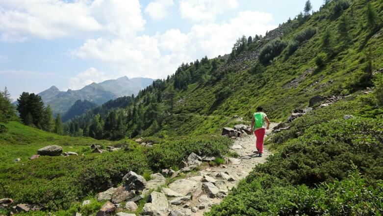 gefahrlos - der Zirbenweg bis zum ...