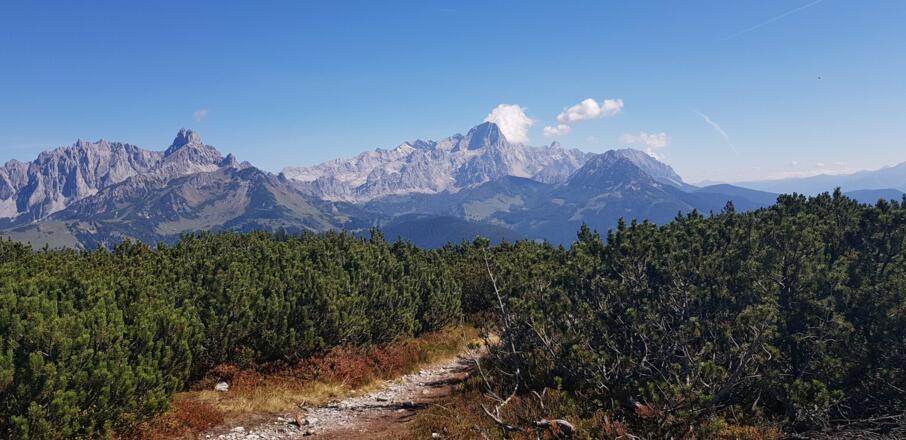 ... oder zur Bischofsmütze mit Dachstein