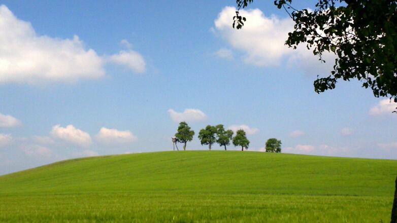 Roithener Kogel 449m