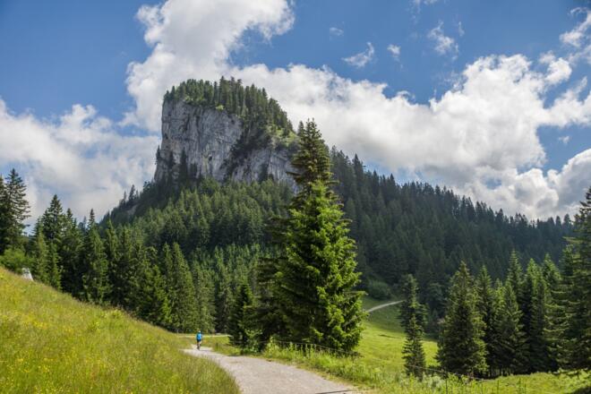 Blick auf &quot;Schöner Mann&quot;